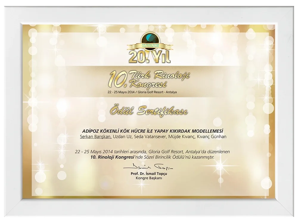 Advanced Aesthetic Rhinoplasty 2019 certificate
